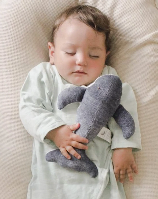 Sleeping child holding humphrey the whale toy